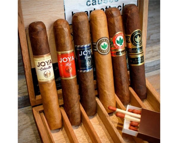 Joya de Nicaragua Robusto 6 Cigar – Sampler Box